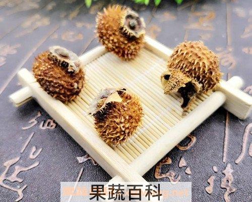 刺梨