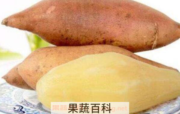女生吃雪莲果的好处和坏处