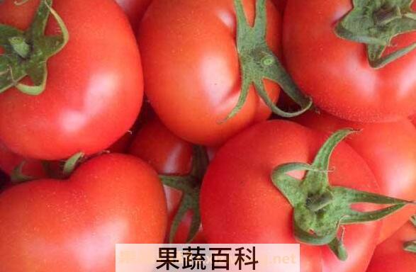 番茄红素的功效与作用