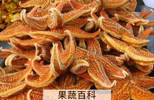 海五星怎么吃 海五星的正确吃法