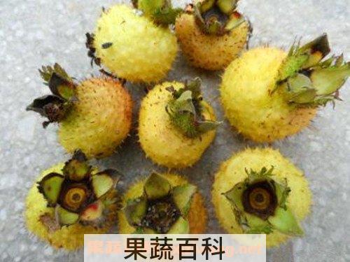 刺梨汁
