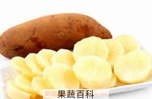 雪莲果怎么吃最好 雪莲果的吃法技巧教程