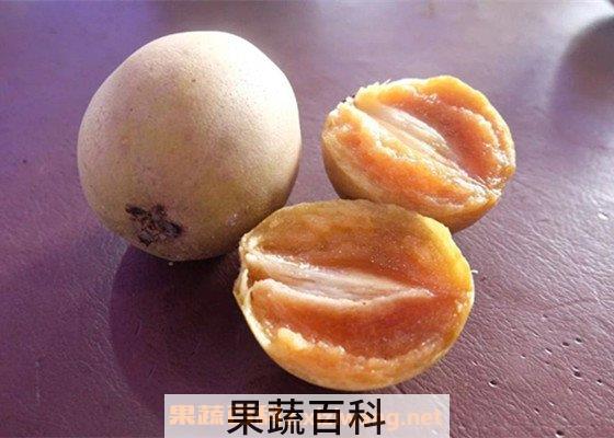 人心果
