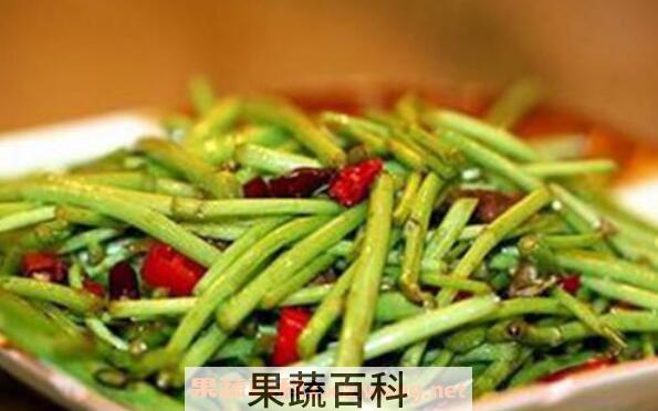 茼蒿和藜蒿有什么区别