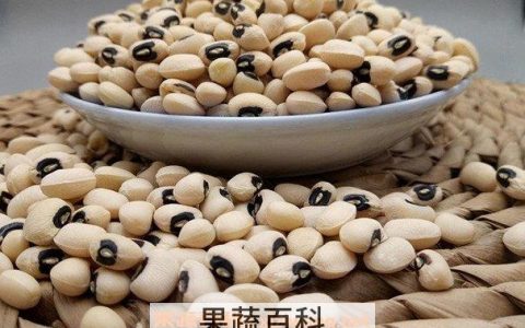 眉豆的功效是什么 眉豆的功效和作用及禁忌