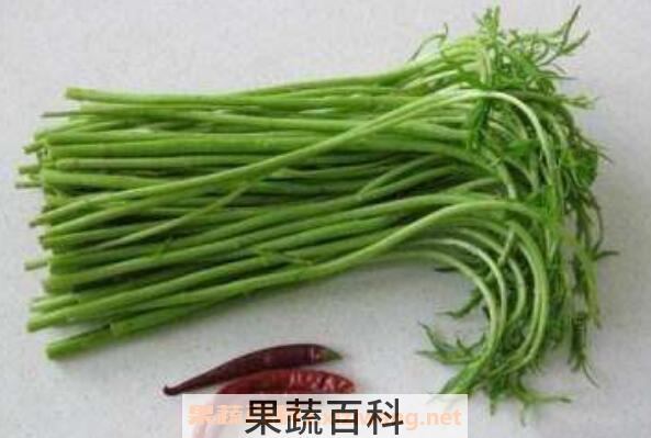 藜蒿的功效与作用 藜蒿的禁忌