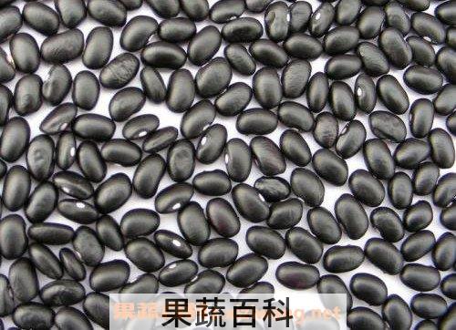 黑眉豆
