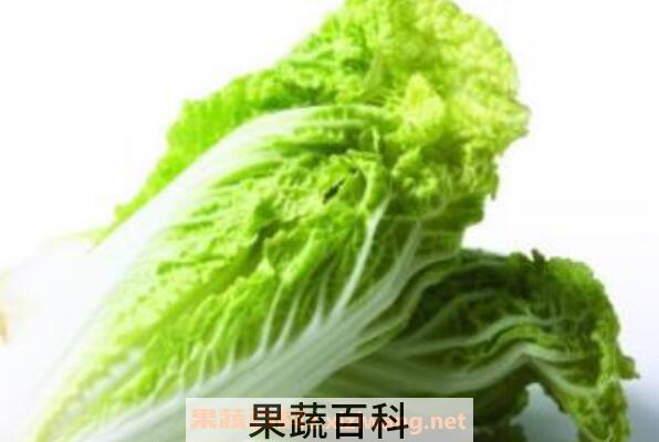 白菜汁的功效与作用 白菜汁生喝还是熟喝