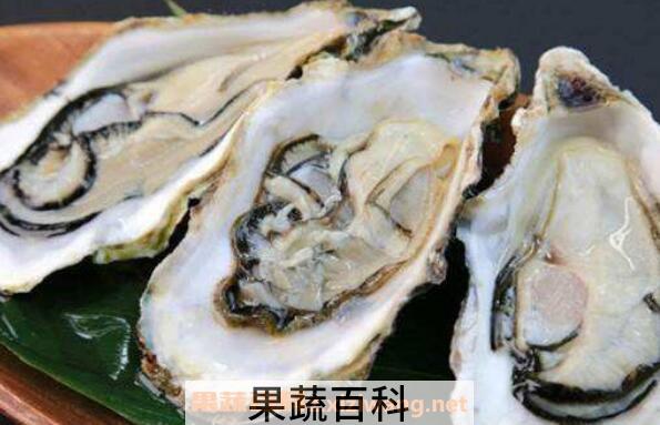 牡蛎的功效与作用 吃牡蛎的好处
