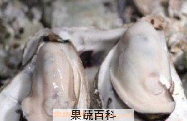 男人吃牡蛎的功效与作用
