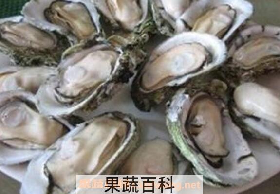 男人吃牡蛎的功效与作用