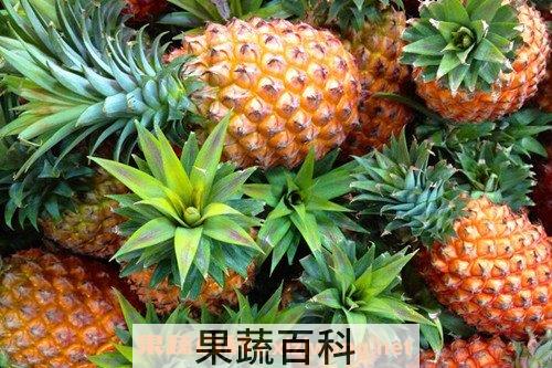 菠萝