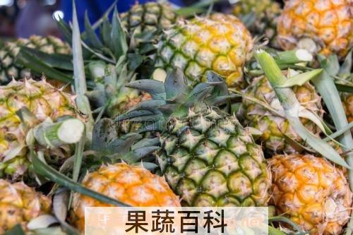 菠萝