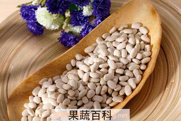 白芸豆粉