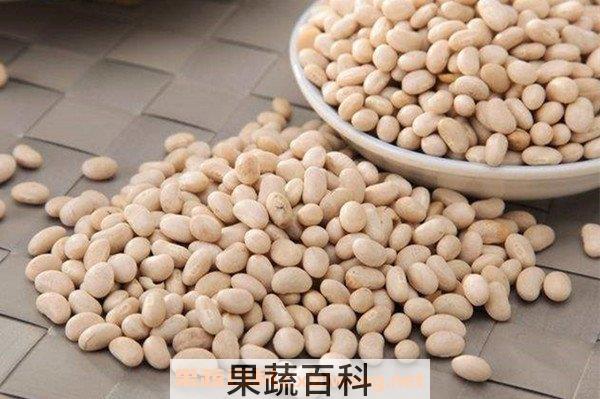 白芸豆粉