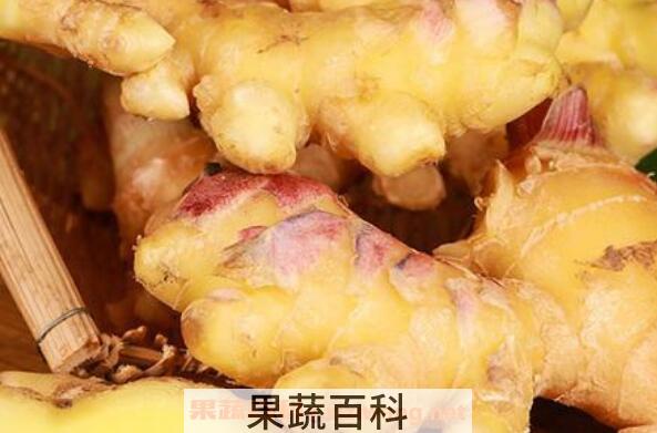 黄心姜什么功效与作用