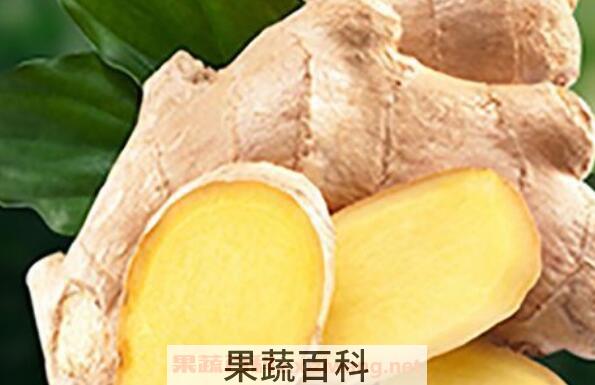黄心姜什么功效与作用
