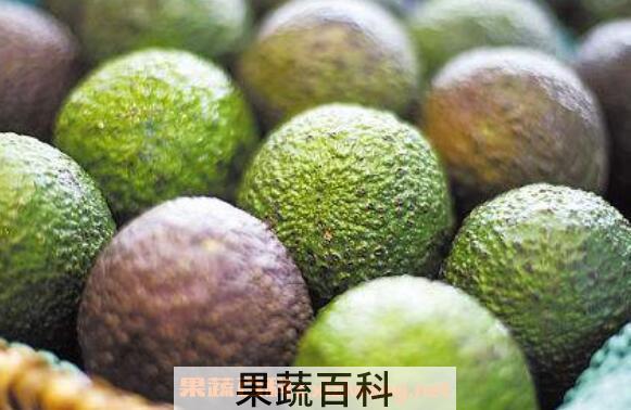 怎样挑选牛油果 牛油果的挑选方法技巧