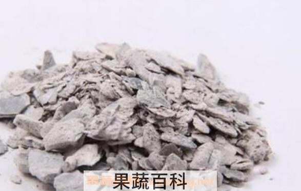 生牡蛎和煅牡蛎的区别 吃生牡蛎的好处