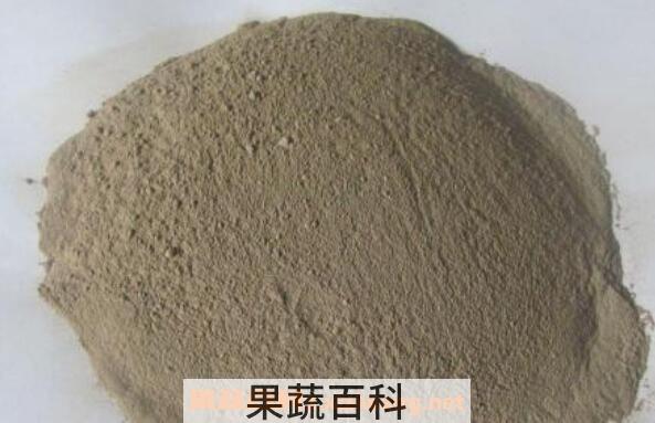 生蚝粉的功效与作用