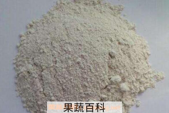 生蚝粉的功效与作用