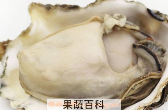 牡蛎粉怎么吃法 牡蛎粉的食用方法