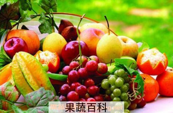 便秘吃什么水果 什么水果能马上通便