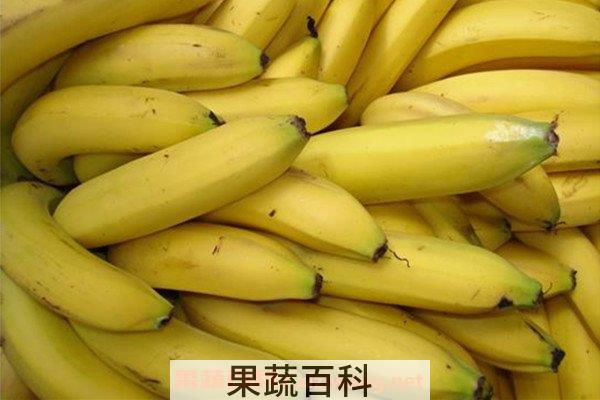 香蕉酵素