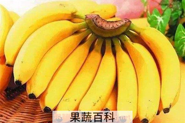 香蕉酵素