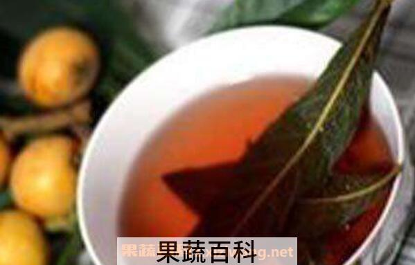 枇杷叶怎么煮水止咳 喝枇杷叶煮水的禁忌