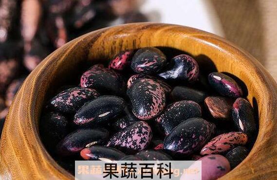 岩豆的功效与作用 岩豆的药用价值