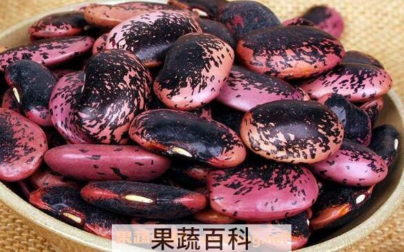 岩豆的功效与作用 岩豆的药用价值