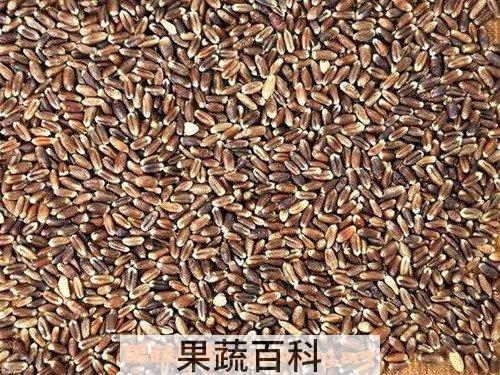 黑麦面粉