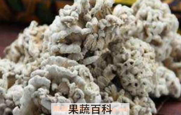 天花菌的功效和作用 天花菌的禁忌