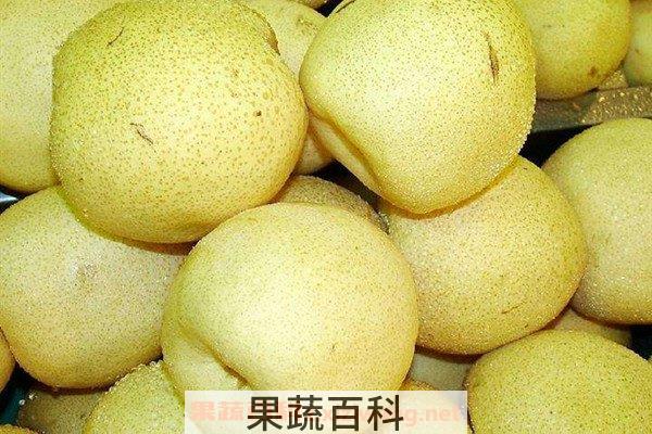 梨酵素