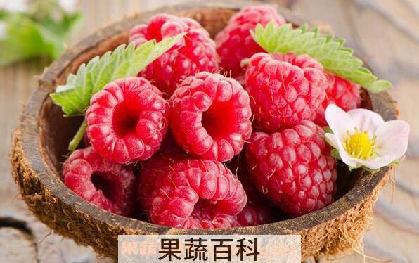 白酒泡树莓的功效与作用