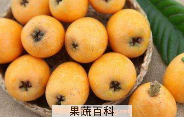 枇杷不能和什么一起吃 吃枇杷的禁忌