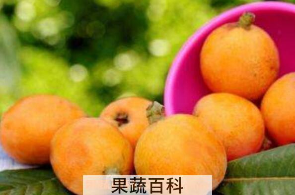 枇杷不能和什么一起吃 吃枇杷的禁忌