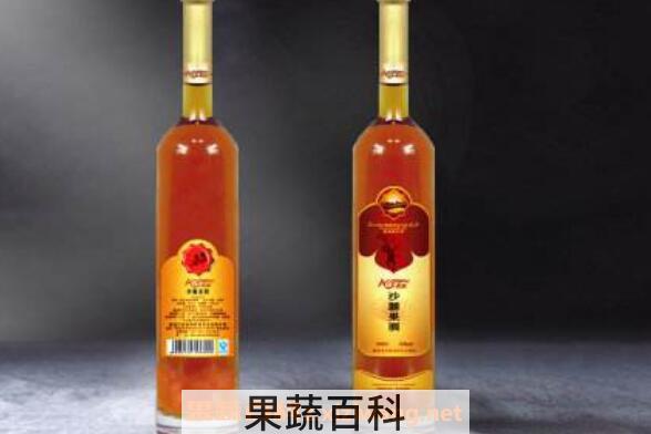 沙棘果酒怎么做 沙棘果酒的制作方法