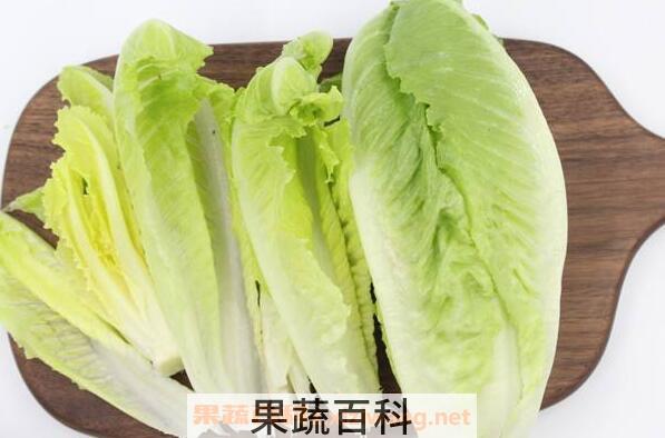罗纹生菜跟生菜区别 罗纹生菜的好处