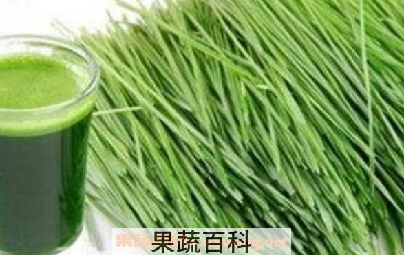 判断心脏四腔壁厚薄的简单方法
