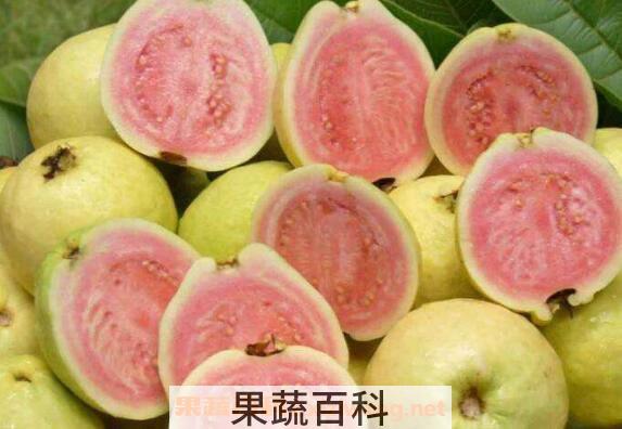 芭乐怎么吃 芭乐的正确食用方法