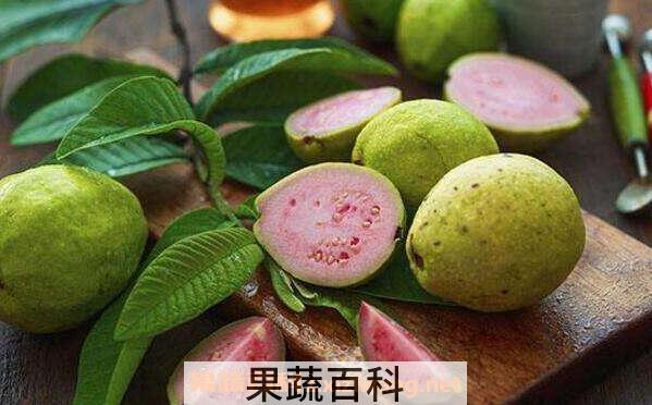 芭乐怎么吃 芭乐的正确食用方法