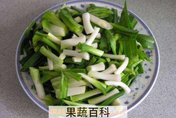 青蒜苗怎么做好吃 青蒜苗的营养价值