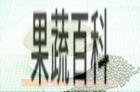 果蔬百科豌豆粥