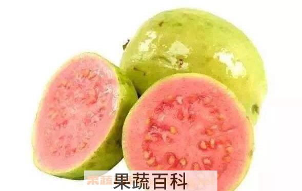 芭乐的籽可以吃吗 芭乐籽的功效与作用