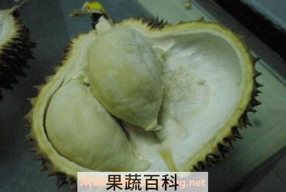 榴莲怎么吃图解 榴莲的正确食用方法教程