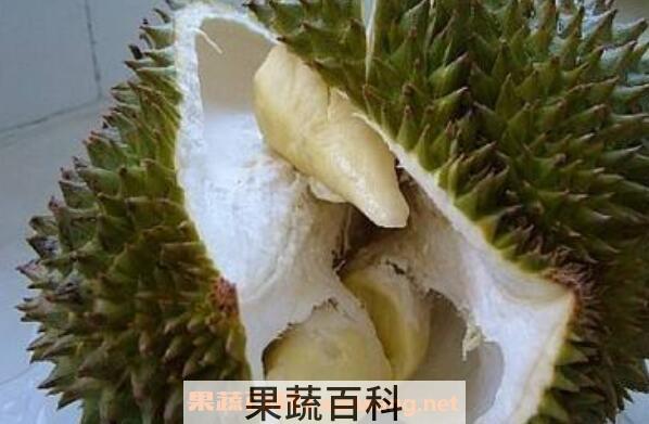 榴莲哪些部位可以吃 榴莲哪些地方不能生吃