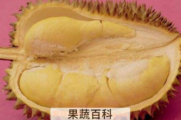 榴莲哪些部位可以吃 榴莲哪些地方不能生吃