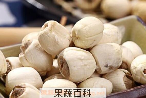 干莲子怎么保存 干莲子的储存方法